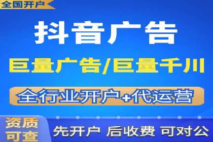 竞价广告与自然搜索的结合策略：XX网站的案例分析